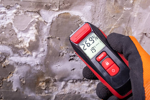 Mold Testing and Removal in Gulfport, MS